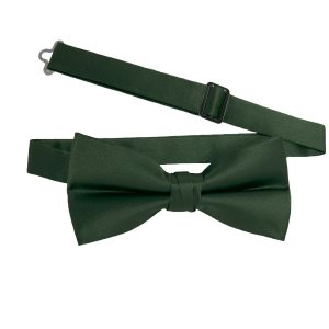Men's Eucalyptus solid satin pre-tied bow tie
