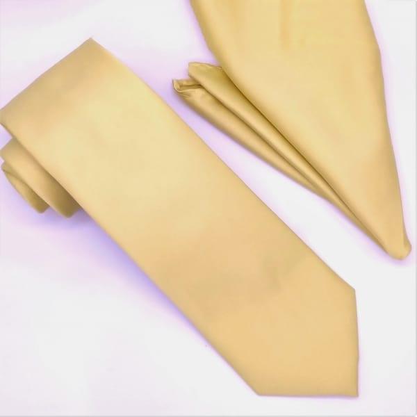 Champagne Tie and Hanky Set - Upscale Men's Fashion